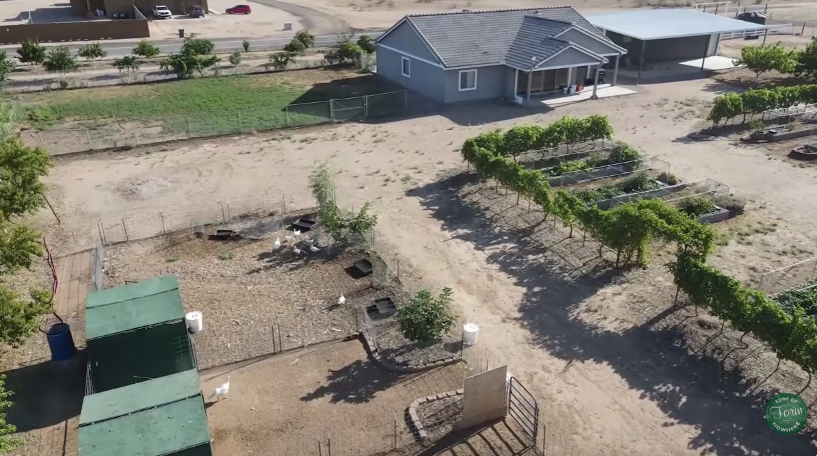Look at this farm in AZ desert - General Fruit Growing - Growing Fruit