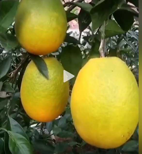 WhatsApp Image 2026-01-16 at 14.04.24