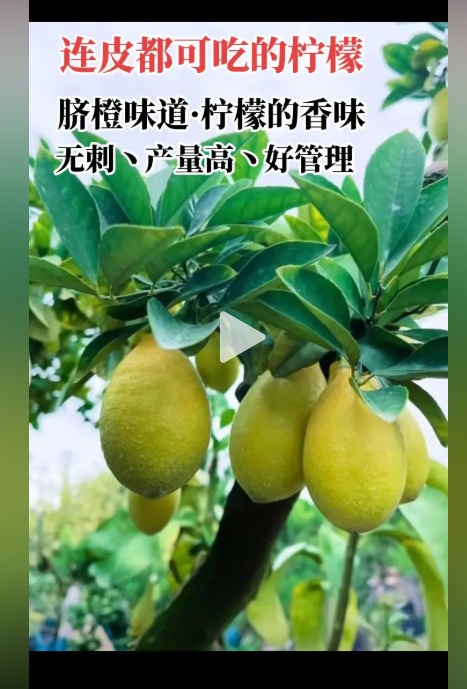 WhatsApp Image 2026-01-16 at 13.39.23