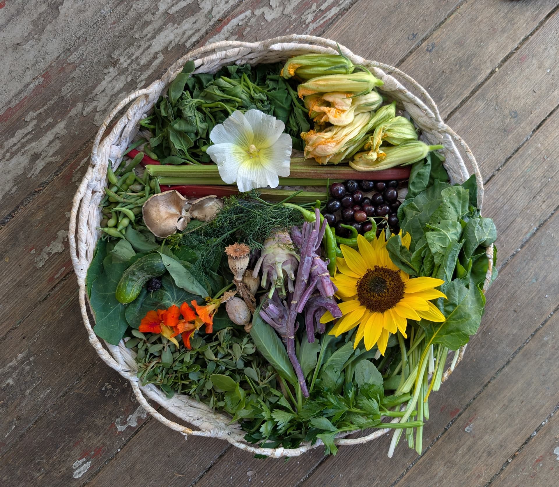 PXL_20250723_223315867~2