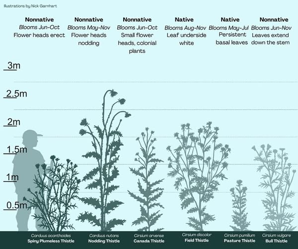 470685421_18387145141103906_8097384122953669009_n