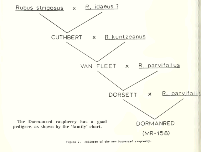 Screenshot_20251226-130138-756