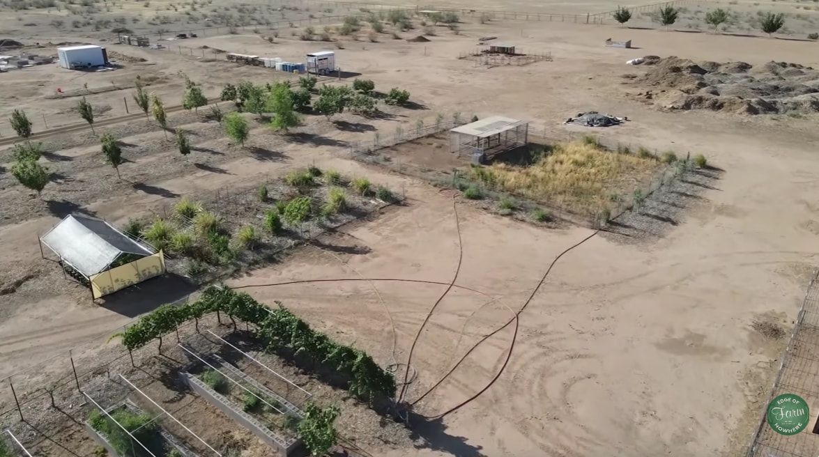 Look at this farm in AZ desert - General Fruit Growing - Growing Fruit