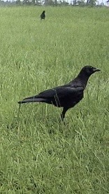 IMG_4670