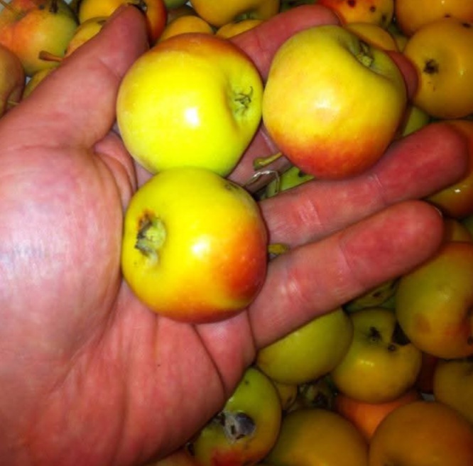 FB_IMG_1759960869929