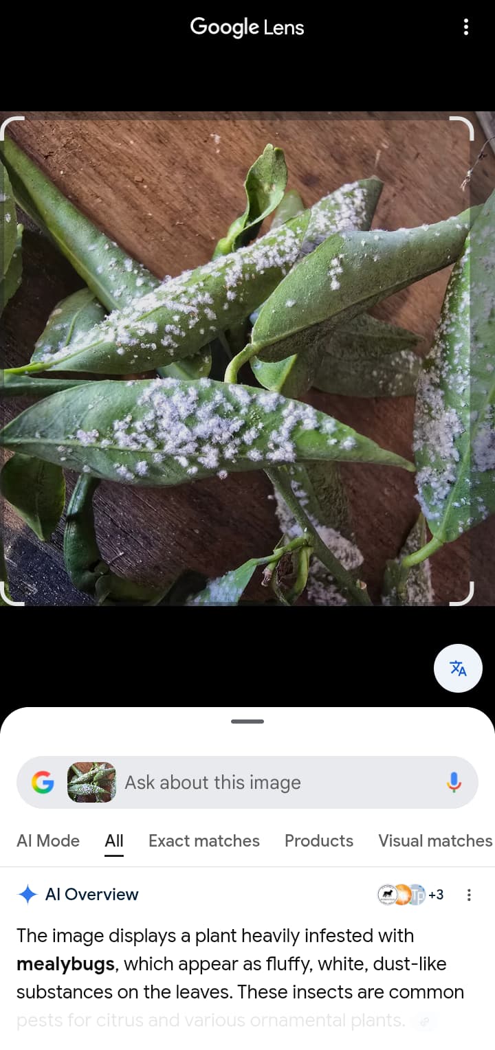 Screenshot_20251204-201245~2