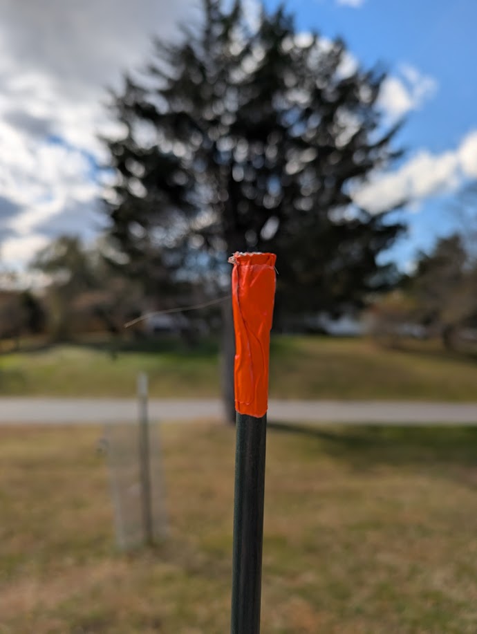 PXL_20251116_175049971