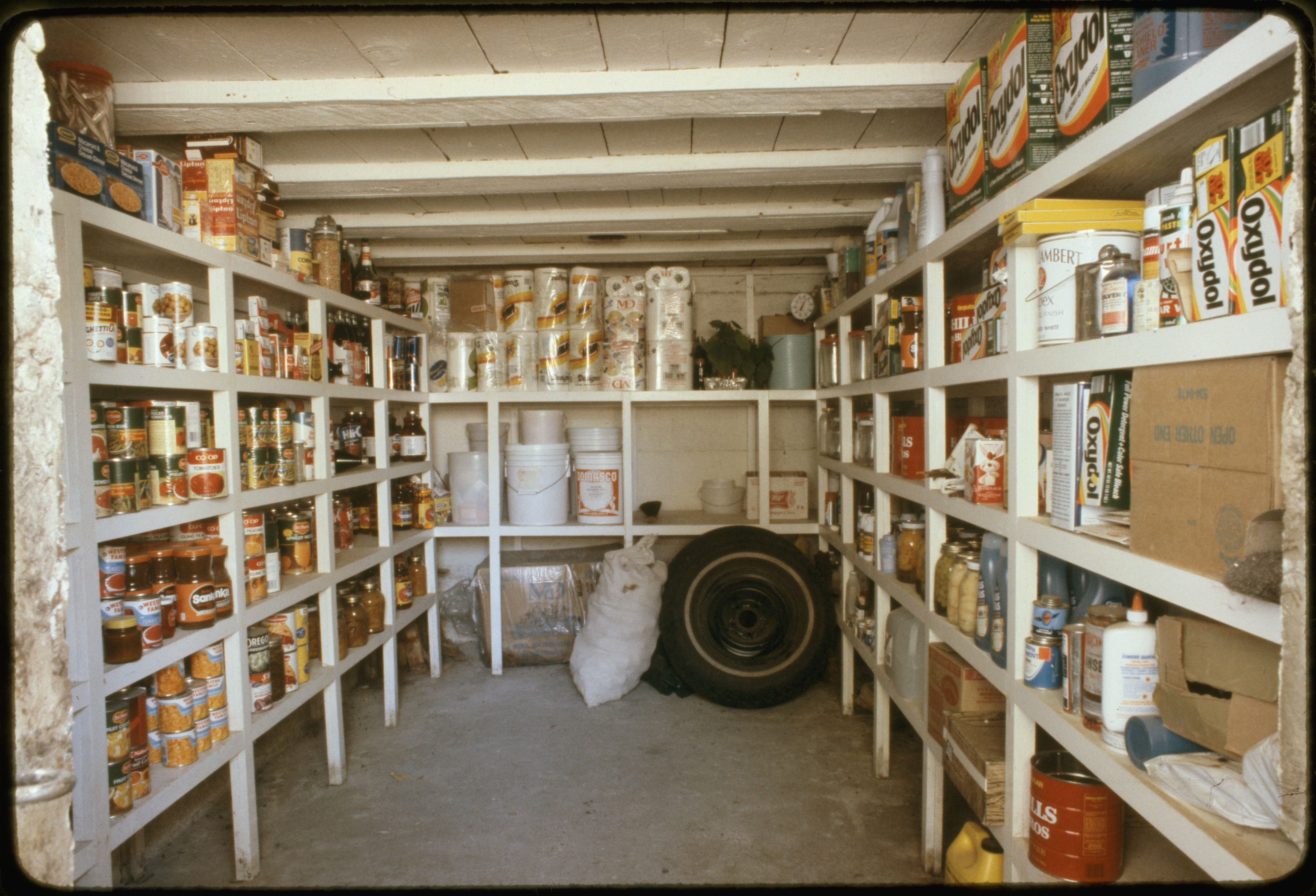 Root%20Cellar%20Collection%20LoC%20D.D.T