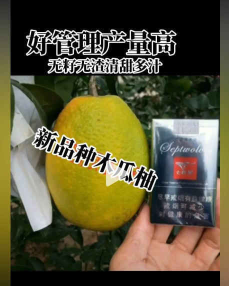 WhatsApp Image 2026-01-16 at 18.38.28