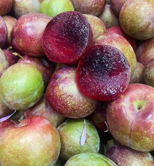 470204107_18479847991055213_3211028467790906579_n