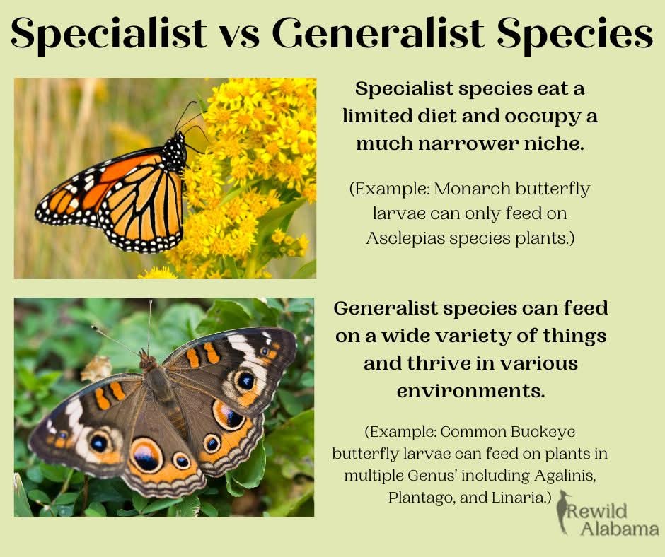 FB_IMG_1760557907459