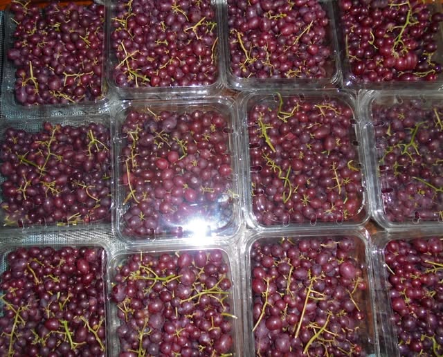 515502808_1337996234993541_7869983722715175450_n