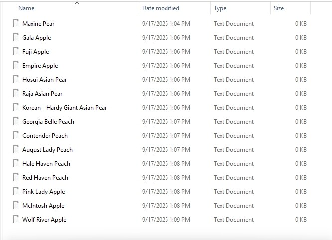 tree notes yearly calendar (2)