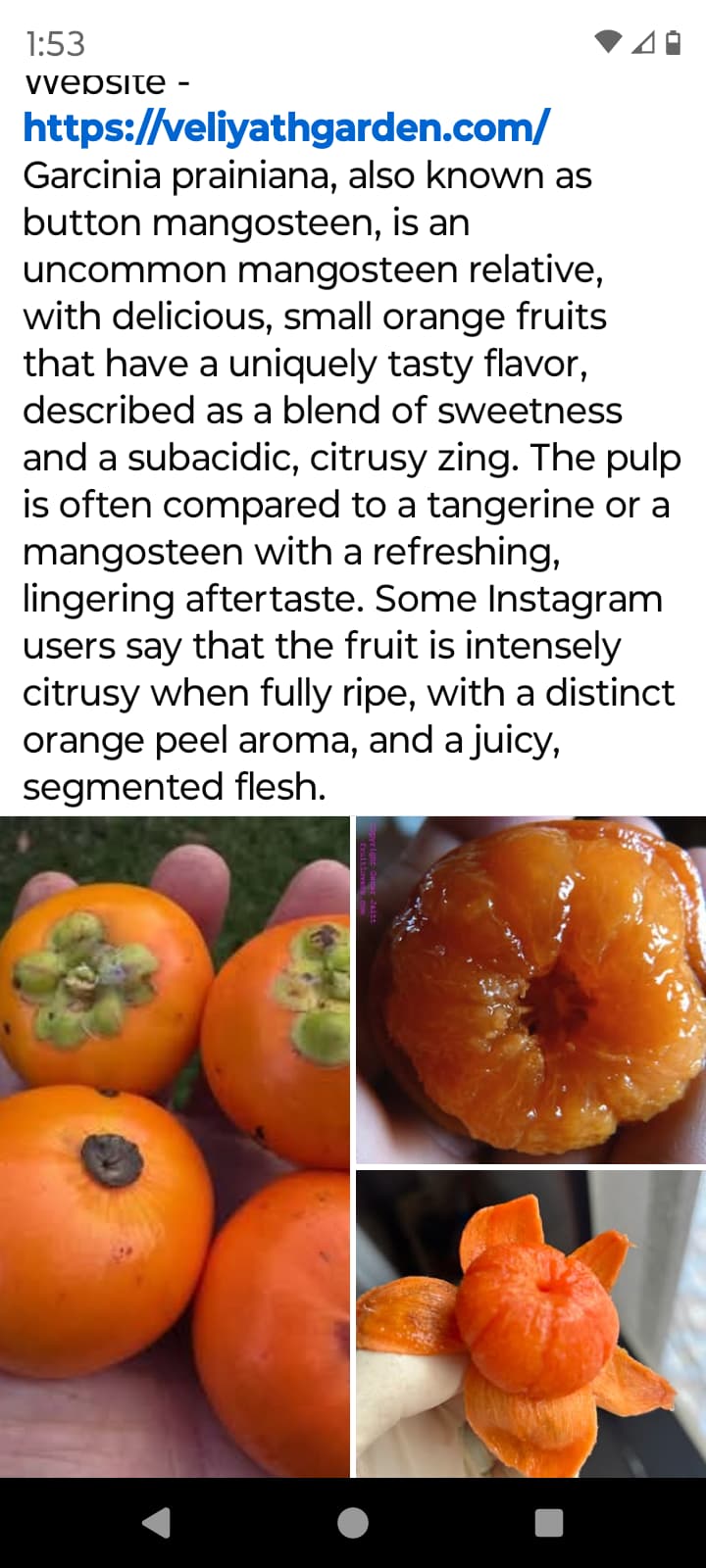 Screenshot_20250817-135313