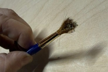 Brush
