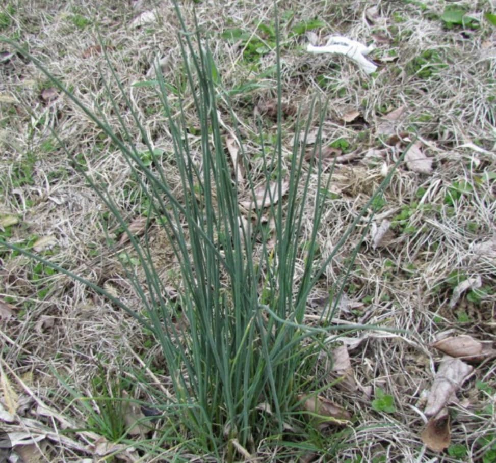 Screenshot_20260106-191159-856