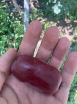 Messenger_creation_188B20EA-B7C4-4FAD-B6FE-06859B1C1A51