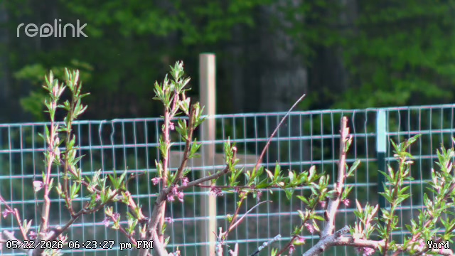 Nessen City-Yard-20260522_182326