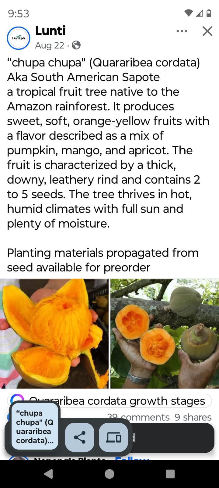 Screenshot_20251104-095345