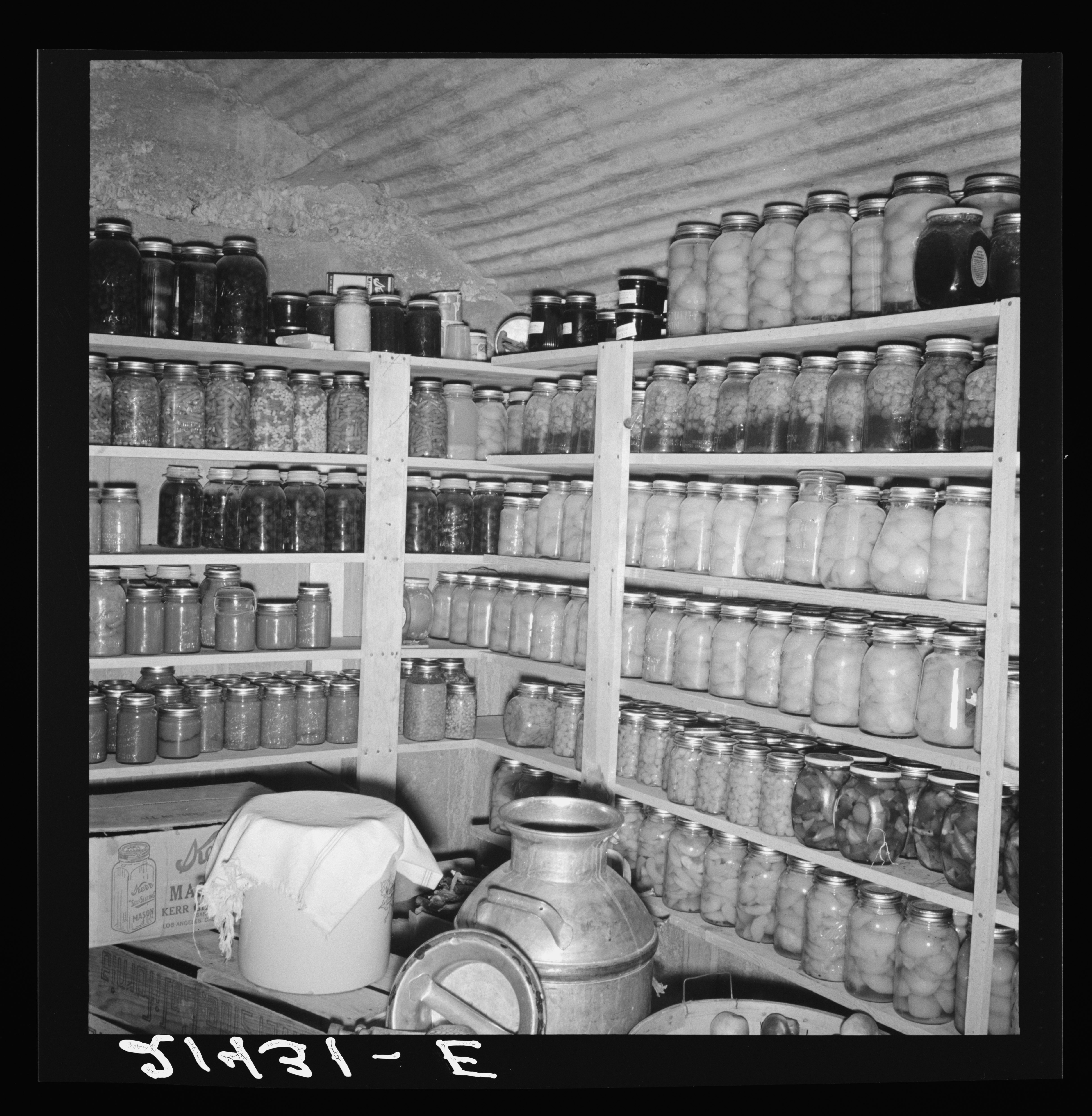 Root%20Cellar%20Collection%20LoC%20D.D.T